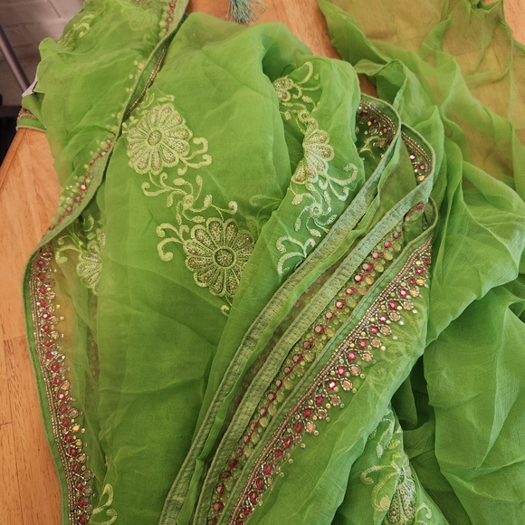 Embroidered Green Traditional Indian Saree - Picture 8 of 9